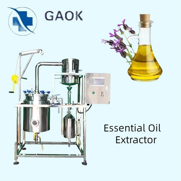 Lavender essential oil extraction Lavender essential oil extraction